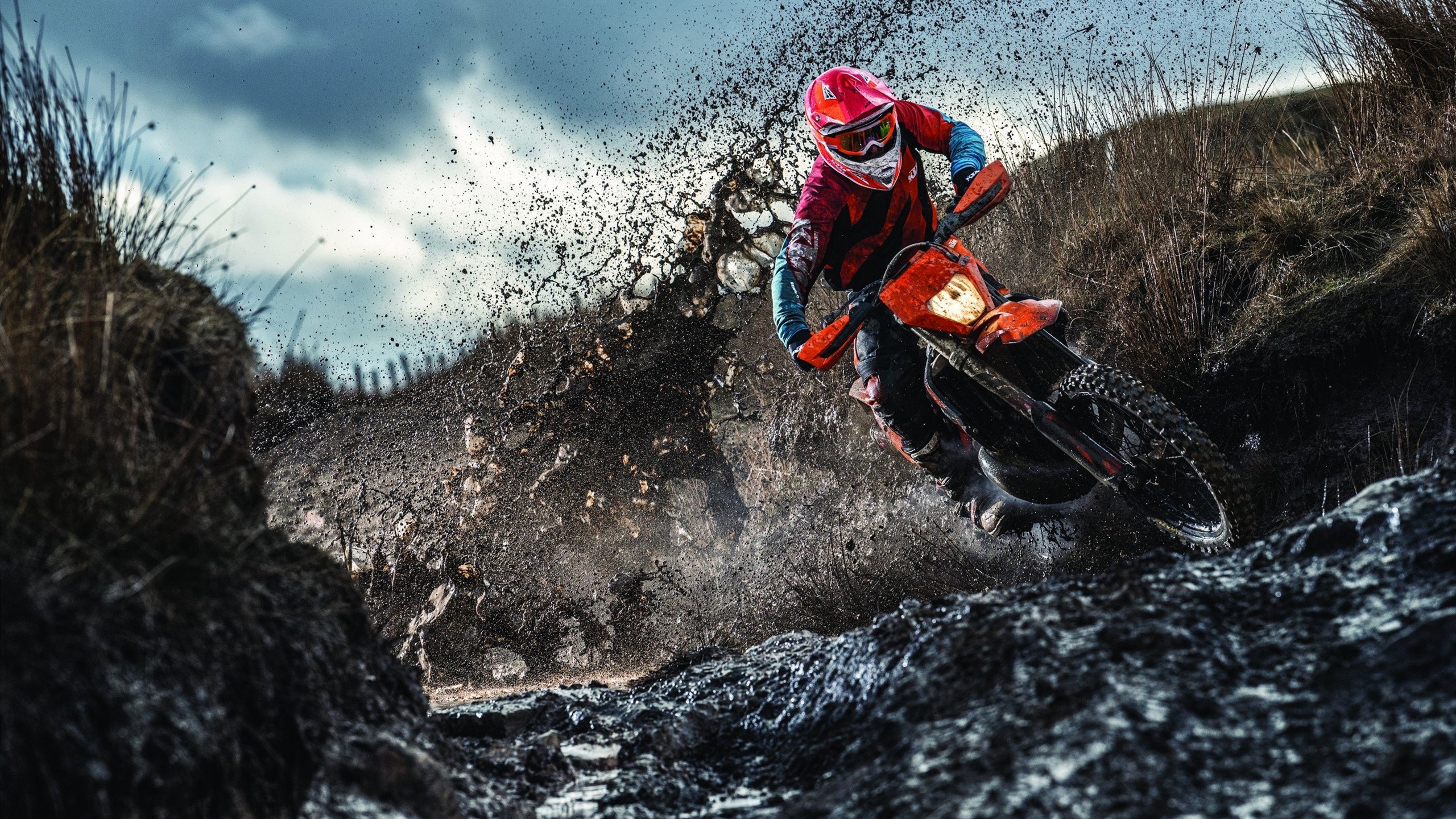 金州勇士主帅放话：分区决赛必胜AC米兰，王楚钦冷笑回应